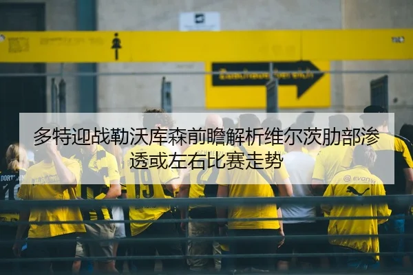 多特迎战勒沃库森前瞻解析维尔茨肋部渗透或左右比赛走势