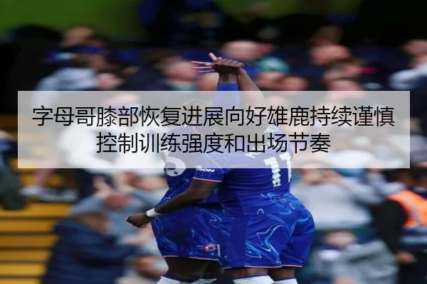 字母哥膝部恢复进展向好雄鹿持续谨慎控制训练强度和出场节奏